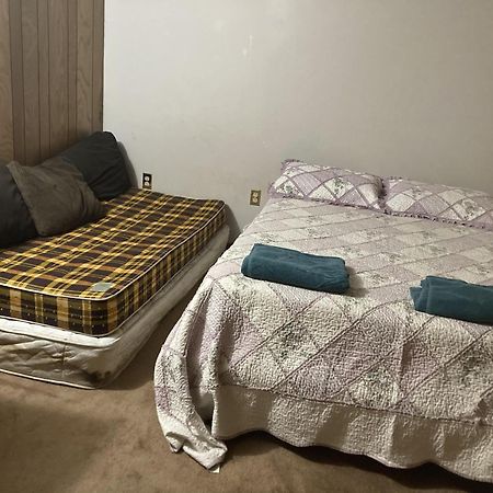Cozy Apartment With A Spacious Backyard In The Ravine Торонто Екстер'єр фото