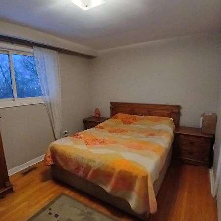 Cozy Apartment With A Spacious Backyard In The Ravine Торонто Екстер'єр фото