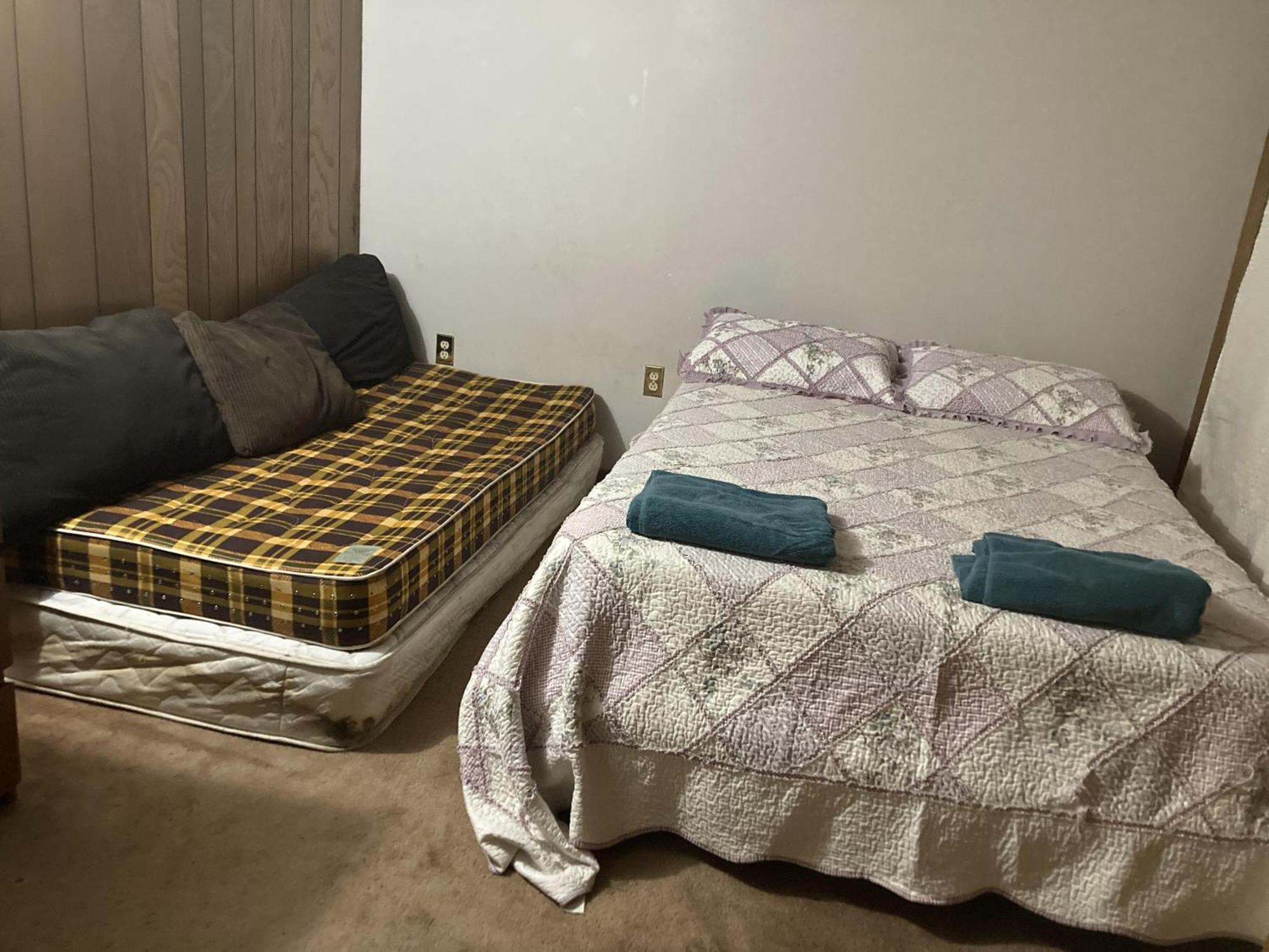 Cozy Apartment With A Spacious Backyard In The Ravine Торонто Екстер'єр фото